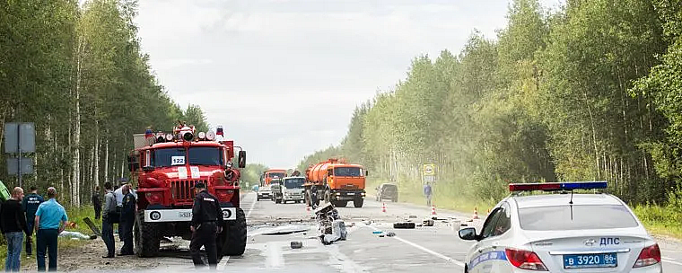 В Югре водитель насмерть сбил медведя: ущерб оценили в 60 тысяч рублей