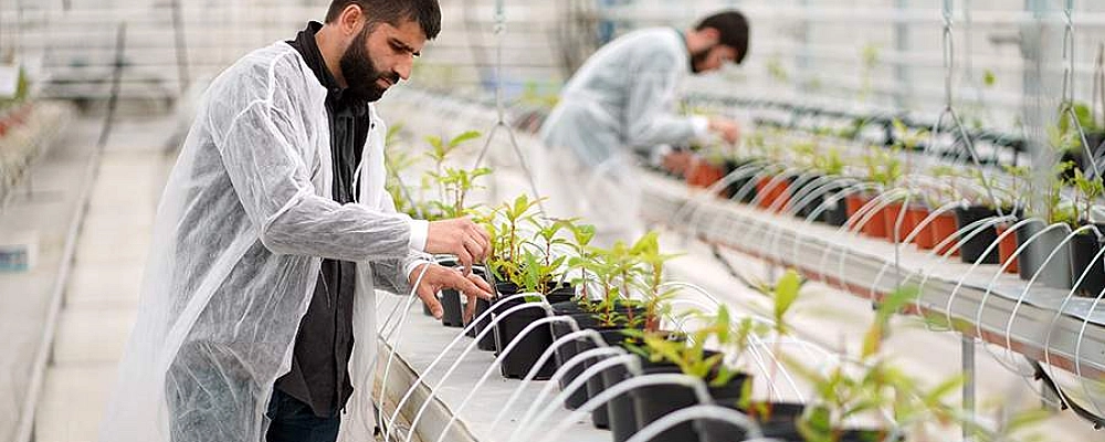 Путин на Форуме будущих технологий призвал усилить развитие биоэкономики