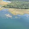 На ликвидацию отходов БЦБК выделят более 15 млрд рублей