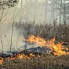 В Геленджике эвакуируют базу отдыха из-за пожара после падения дрона