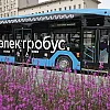 В Москве электробус сбил женщину насмерть на пешеходном переходе