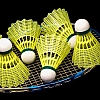 BWF тестирует синтетические воланы из-за нехватки натуральных перьев