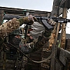 Минобороны заявило об освобождении Новодмитровки в ДНР и Сумской области