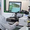 ФМБА разработало методику оценки результатов генетического секвенирования