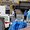 ВОЗ оценила риск глобального распространения хантавируса как крайне низкий