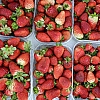 В России клубника за месяц подешевела на 28%