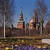 Песков заявил о возможности совместных экономических проектов России и США после урегулирования на Украине