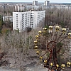 Чернобыльская зона стала одним из крупнейших убежищ для диких животных в Европе