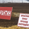 Травников сообщил о снятии карантина по пастереллезу в Новосибирской области