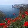 Крым столкнулся с резким падением бронирований на фоне проблем с топливом