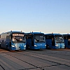 Россия и Украина провели обмен военнопленными по формуле «160 на 160»