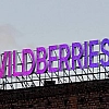 При атаке БПЛА на склад Wildberries в Ленинградской области пострадали три человека