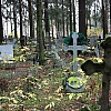 На «Госуслугах» запустят сервис поиска и покупки мест на кладбищах
