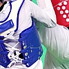 World Taekwondo разрешила проводить международные турниры в России