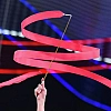 World Gymnastics выразила сожаление из-за отказа в визах российским гимнасткам