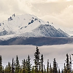 Крымские власти предложили Штатам продать Аляску 