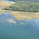 На ликвидацию отходов БЦБК выделят более 15 млрд рублей