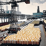 Правительство продлило квоты на экспорт минеральных удобрений до мая 2026 года