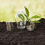 Правительство направит более 34 млрд рублей на поддержку льготного кредитования аграриев