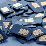 Буцкая поддержала идею «детских сим-карт» и предложила сделать их с бесплатным доступом к образовательным сервисам