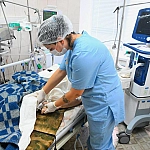 В Белгородской области дрон взорвался на объекте, пострадали два человека