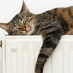 В Москве повысили температуру теплоносителя из-за резкого похолодания