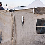 Президент ОАЭ согласился войти в «Совет мира» Трампа по Газе