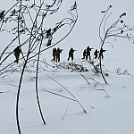 Силовые структуры заявили о попытках Киева распространять недостоверную информацию по Сумскому направлению