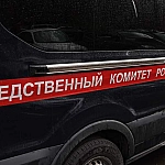 В Пулково задержан глава комитета по госзаказу Петербурга Денис Толстых