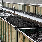 В Амурской области после схода вагона с углем задержали два пассажирских поезда