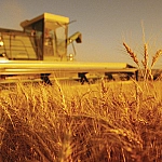 Госдума приняла 26 законов по аграрной сфере в 2025 году, сообщил Володин