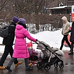 Мишустин сообщил о росте числа многодетных семей в России