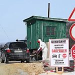 Кремль прокомментировал меры по убою скота в Новосибирской области