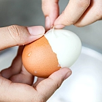 Биолог Лялина объяснила, сколько яиц можно есть без вреда для здоровья