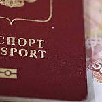 Правительство предложило повысить госпошлины за прием в гражданство и выдачу ВНЖ