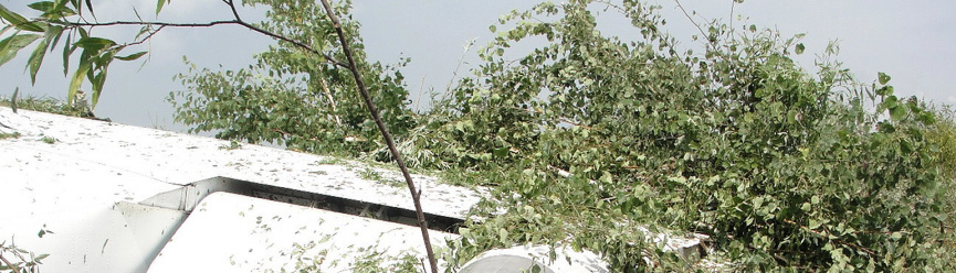 В Амурской области снимают чрезвычайное положение после авиакатастрофы Ан-24