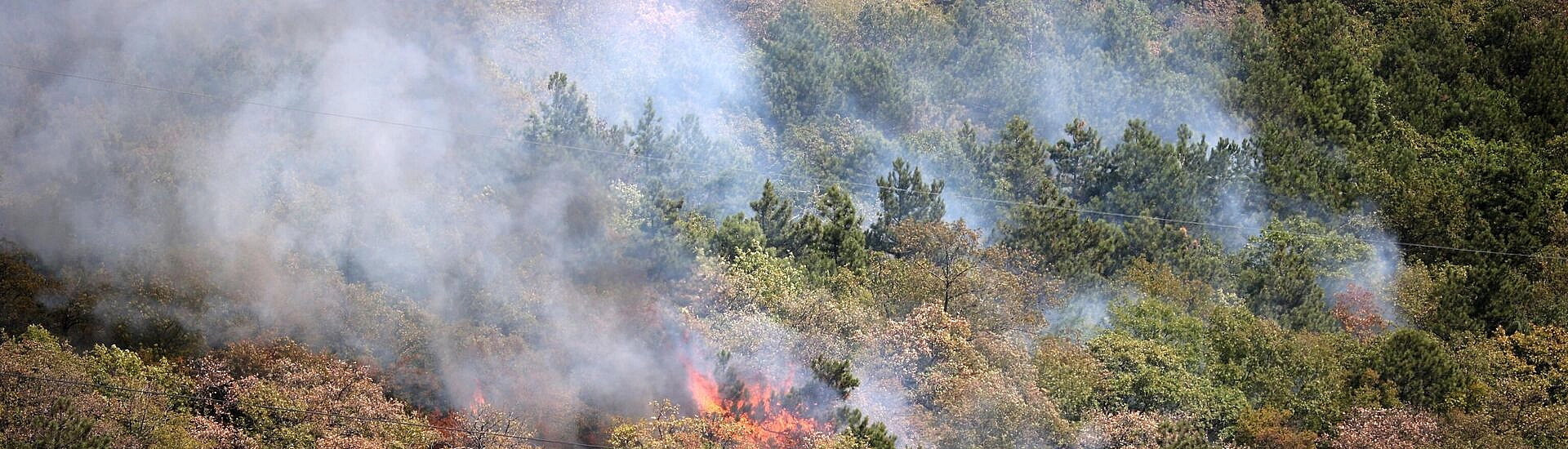 В Геленджике потушили пожар на площади 12,5 гектаров