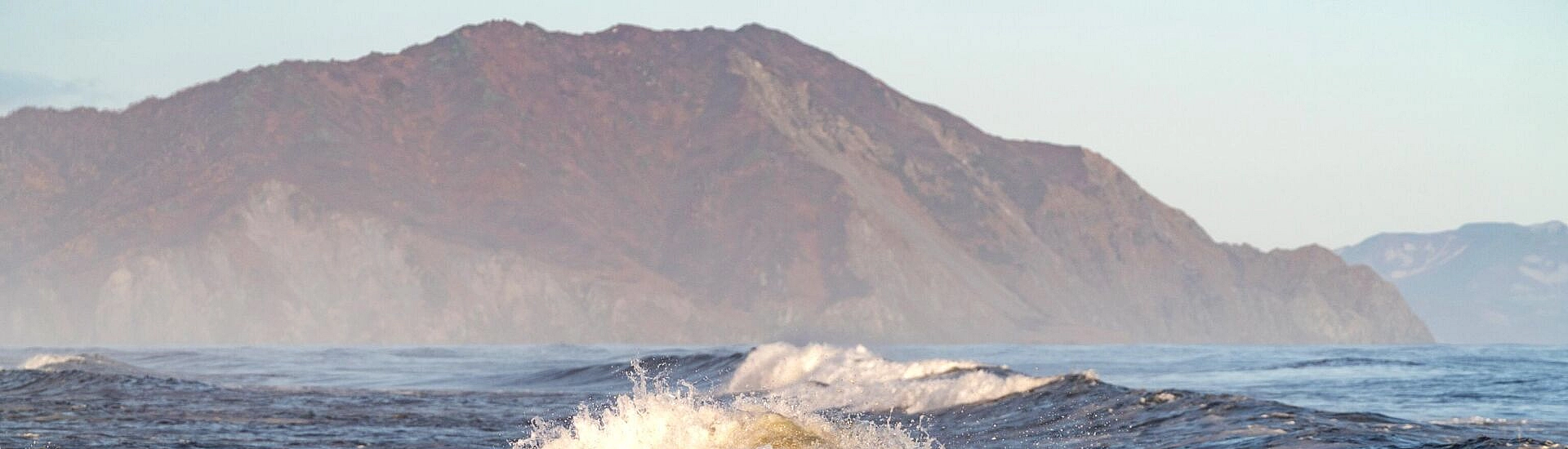 Песков: Камчатка продемонстрировала высокий уровень готовности при землетрясении и угрозе цунами
