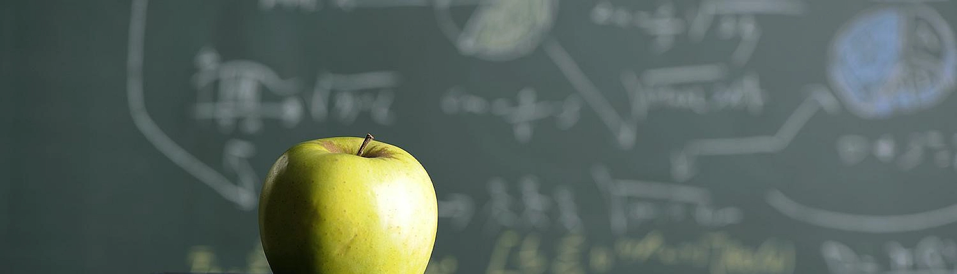 Реут: Ограничение на бесплатное образование для детей иностранных работников в России нарушает конституционные права