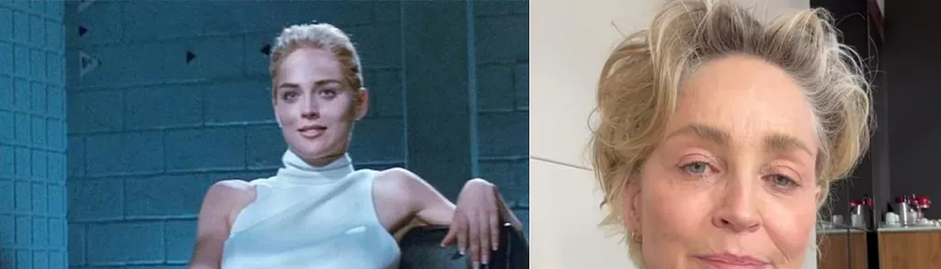 Шэрон Стоун о ремейке «Основного инстинкта»: «Зачем вообще это делать?»