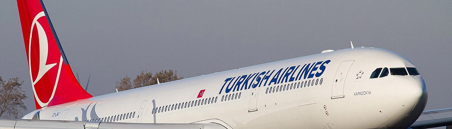 Житель Набережных Челнов отсудил у Turkish Airlines почти миллион рублей