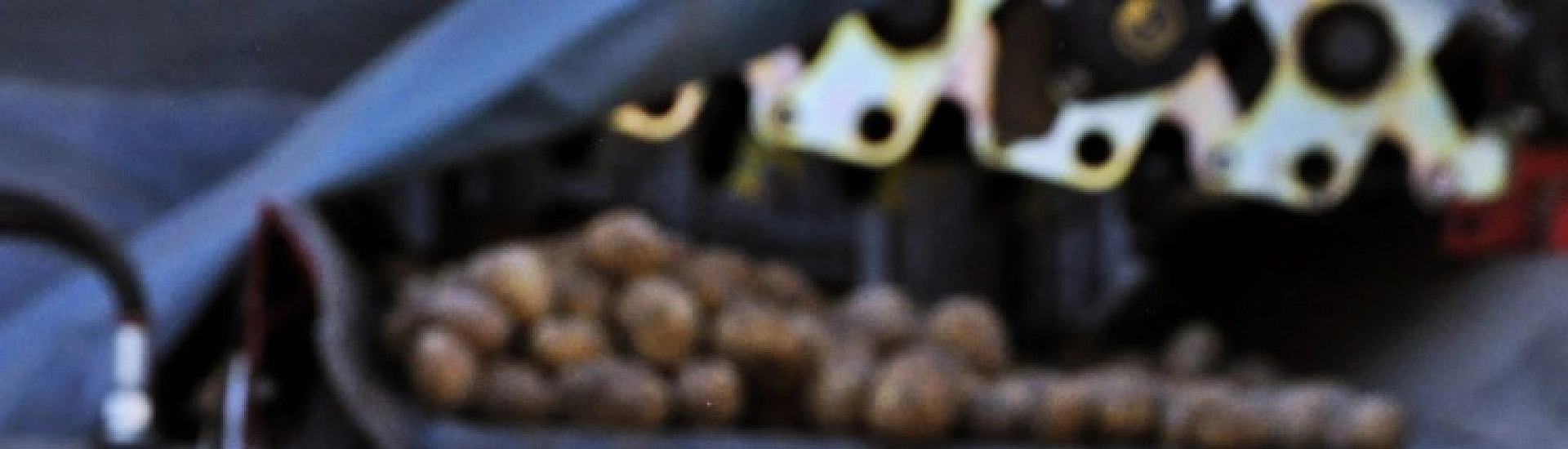 Россия остановила импорт картофеля из Грузии и сократила закупки из Китая