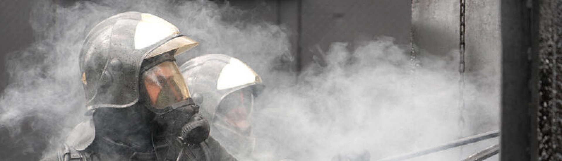 В Ейском зоопарке при пожаре погибли 28 крокодилов и черепаха