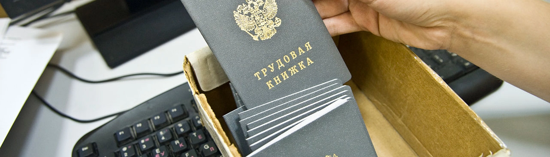 Россия показала самый низкий уровень безработицы среди стран G20