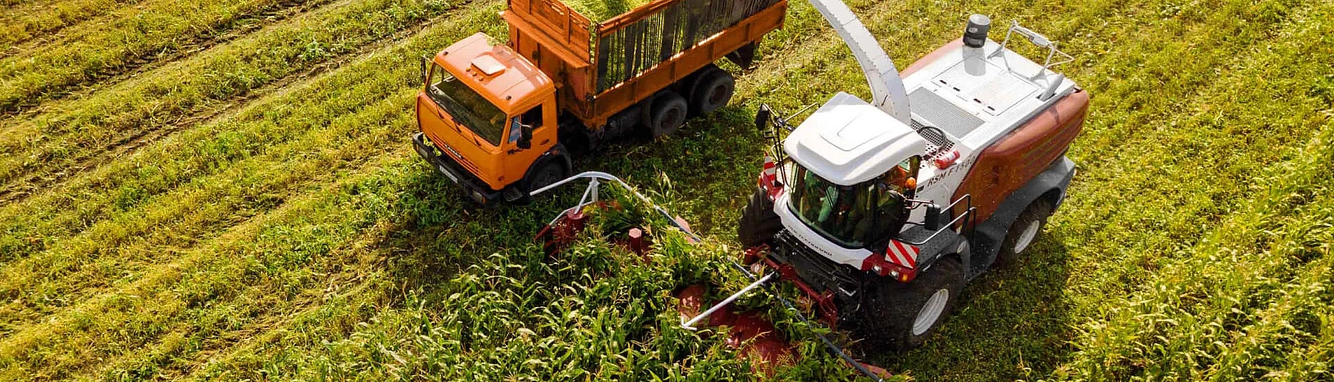 Минсельхоз хочет заручиться поддержкой Минтруда в продвижении профессий АПК