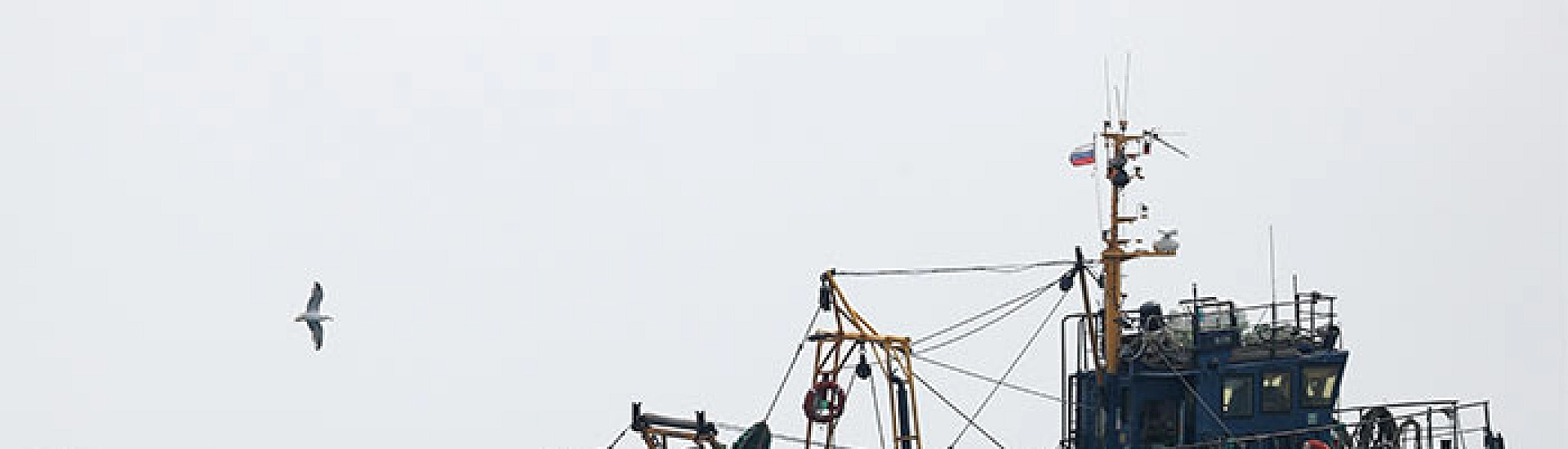 Росрыболовство против возрастного ограничения промысловых судов