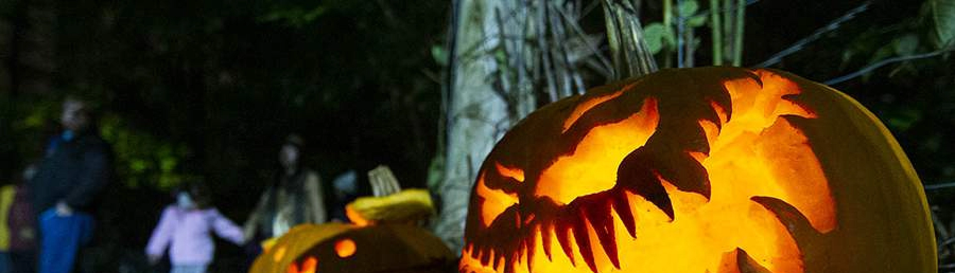 Расходы американцев на Хэллоуин достигнут рекордных $13,1 млрд