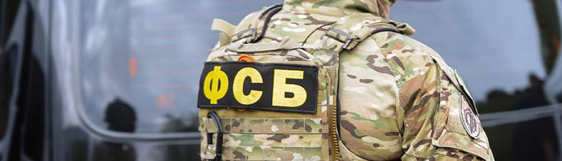 В Санкт-Петербурге задержаны глава ЦУР Елена Никитина и блогер Николай Камнев