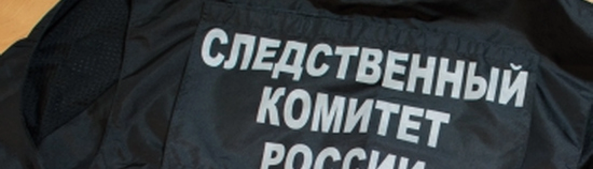 СК возбудил три уголовных дела после серии похищений в Петербурге