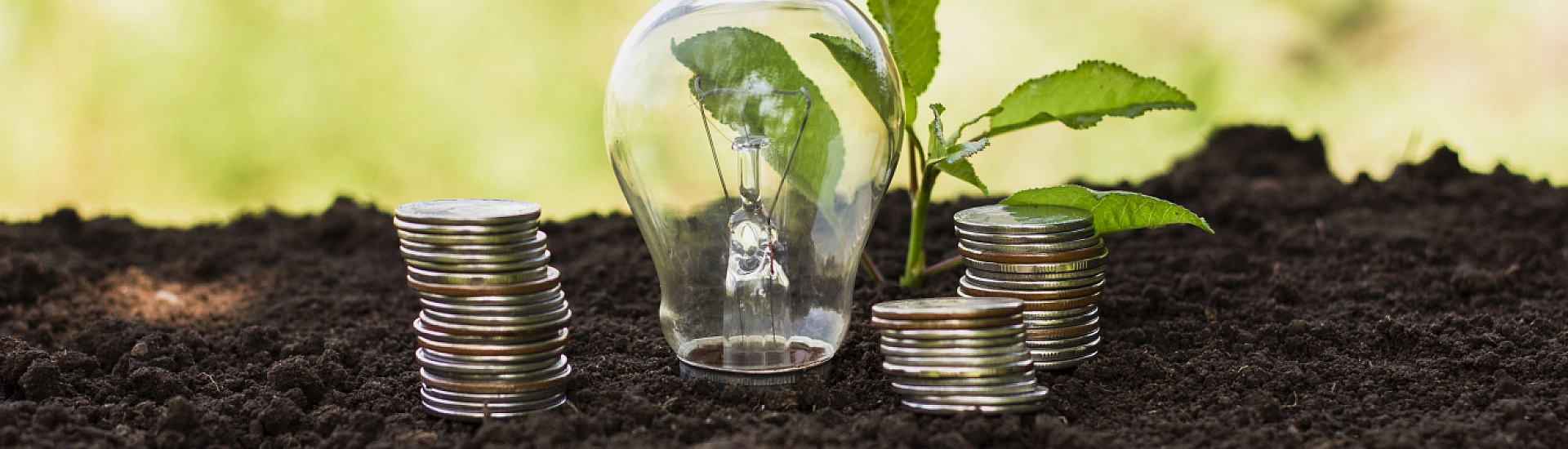 Правительство направит более 34 млрд рублей на поддержку льготного кредитования аграриев